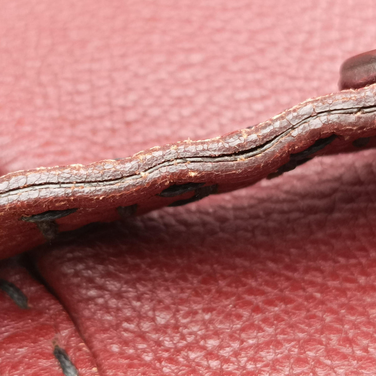 Selleria Pomodorino Red Leather 8BR595 2305/8BR595/ZTJ/089トマトサドルリー レッド レザー 8BR595 2305/8BR595/ZTJ/089