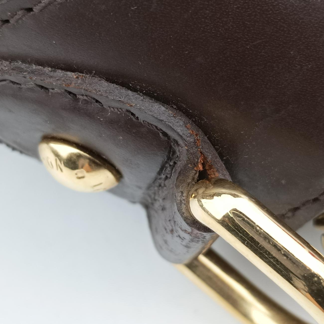 Trevi GMEbeneDamier CanvasN51998AR2100トレヴィGMエベヌダミエ キャンバスN51998AR2100