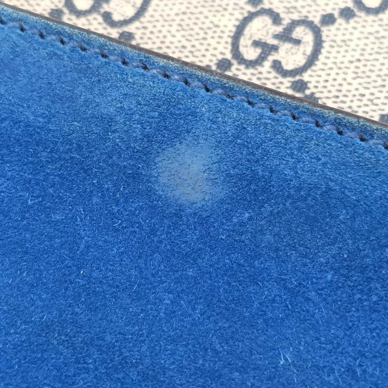 DionysusMulticolourPVC coated canvas400249G020156804ディオニュソスマルチカラーPVCコーティングキャンバス400249G020156804