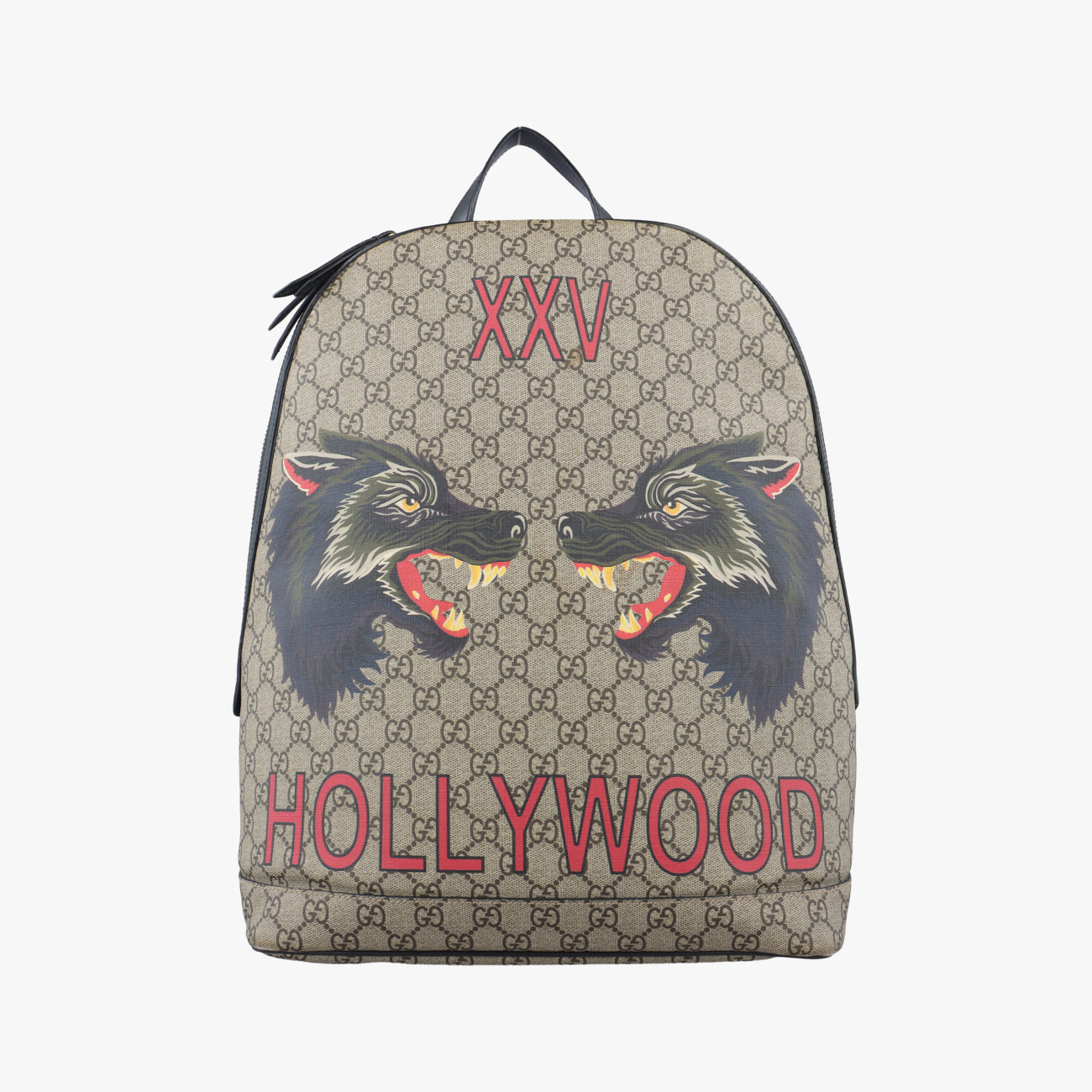 Kingsnake PrintBrownPVC coated canvas419584A023294469キングスネークプリントブラウンPVCコーティングキャンバス419584A023294469