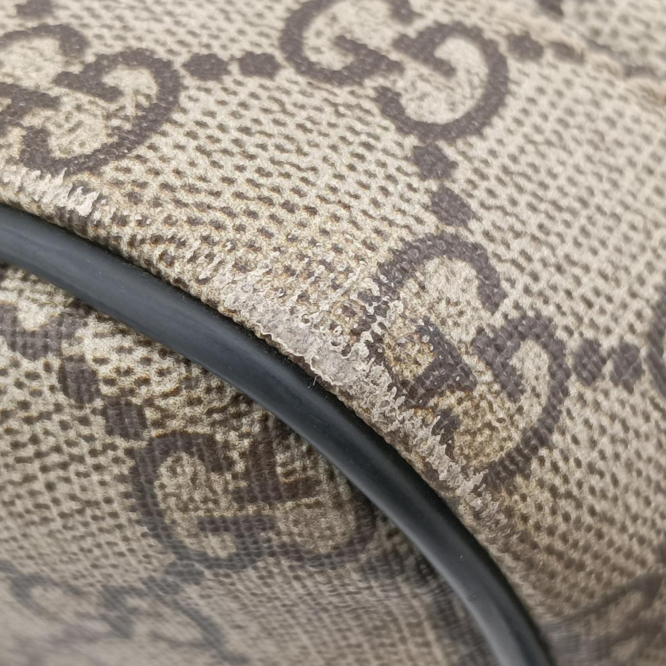 Kingsnake PrintBrownPVC coated canvas419584A023294469キングスネークプリントブラウンPVCコーティングキャンバス419584A023294469