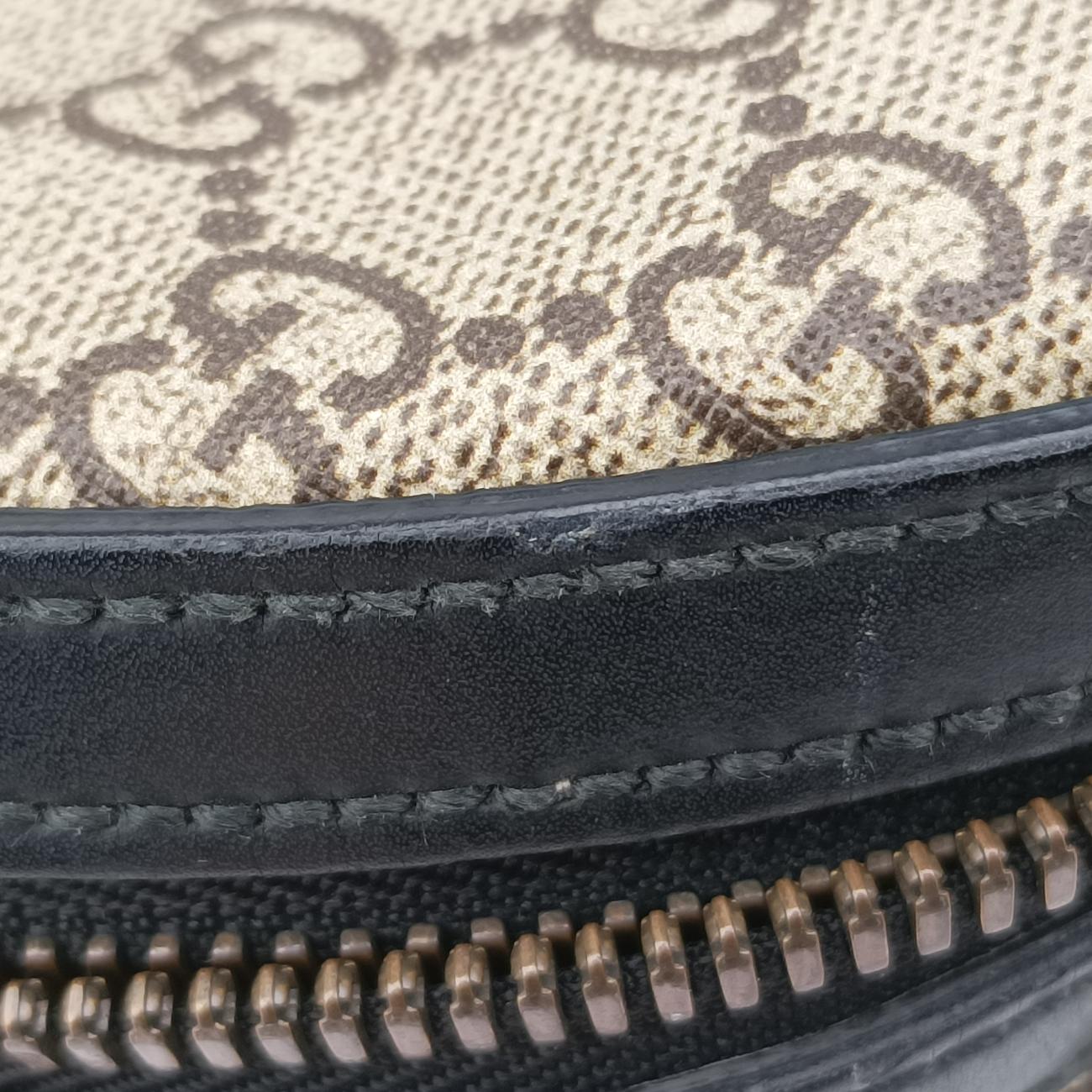 Kingsnake PrintBrownPVC coated canvas419584A023294469キングスネークプリントブラウンPVCコーティングキャンバス419584A023294469