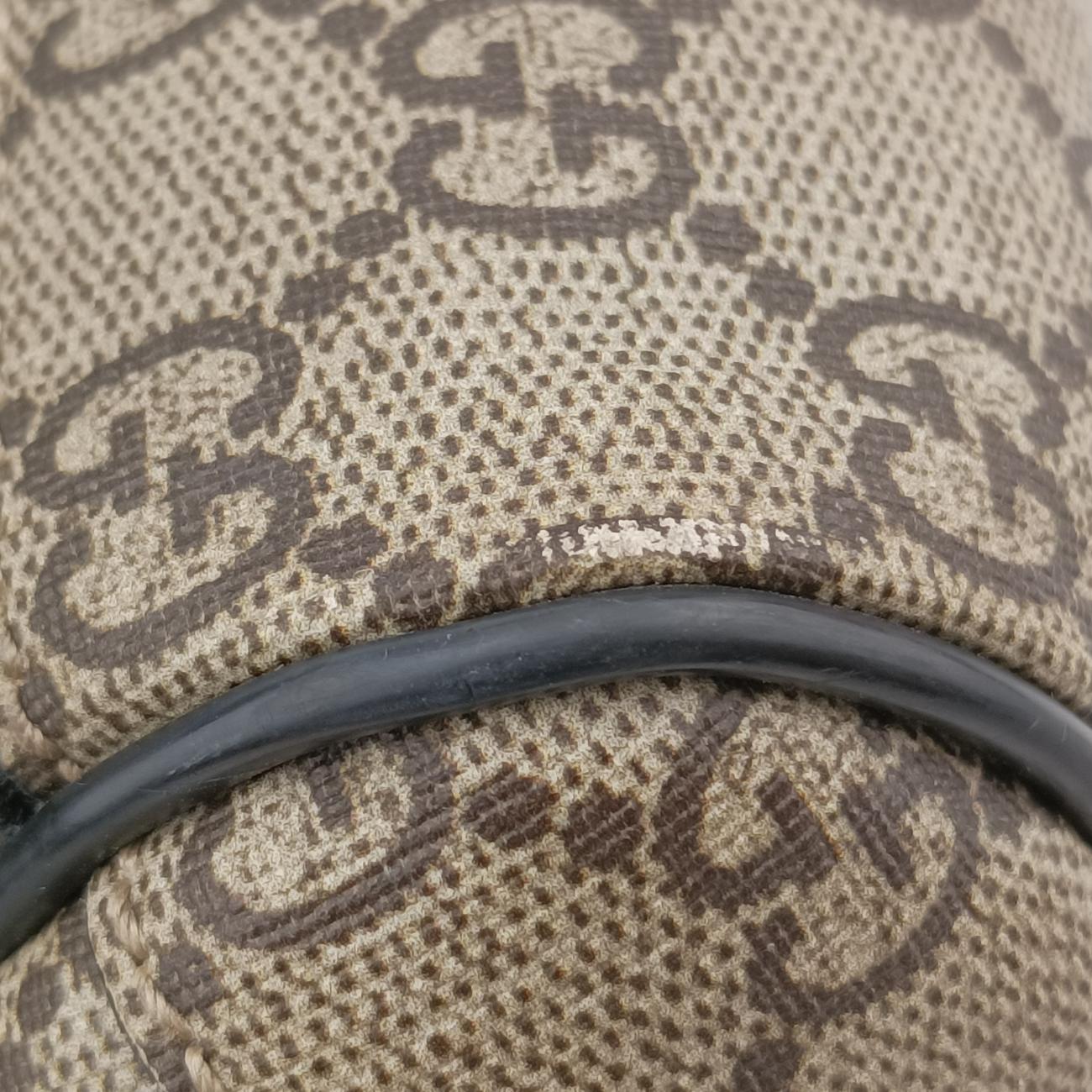 Kingsnake PrintBrownPVC coated canvas419584A023294469キングスネークプリントブラウンPVCコーティングキャンバス419584A023294469