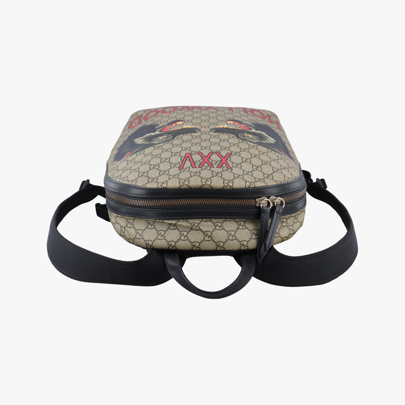 Kingsnake PrintBrownPVC coated canvas419584A023294469キングスネークプリントブラウンPVCコーティングキャンバス419584A023294469