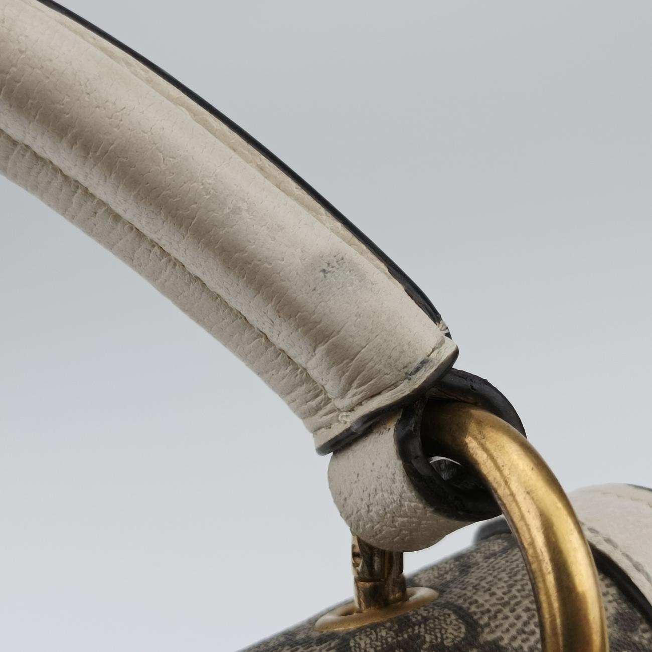 Queen MargaretMulticolourPVC coated canvas476541H026828104クイーン マーガレットマルチカラーPVCコーティングキャンバス476541H026828104