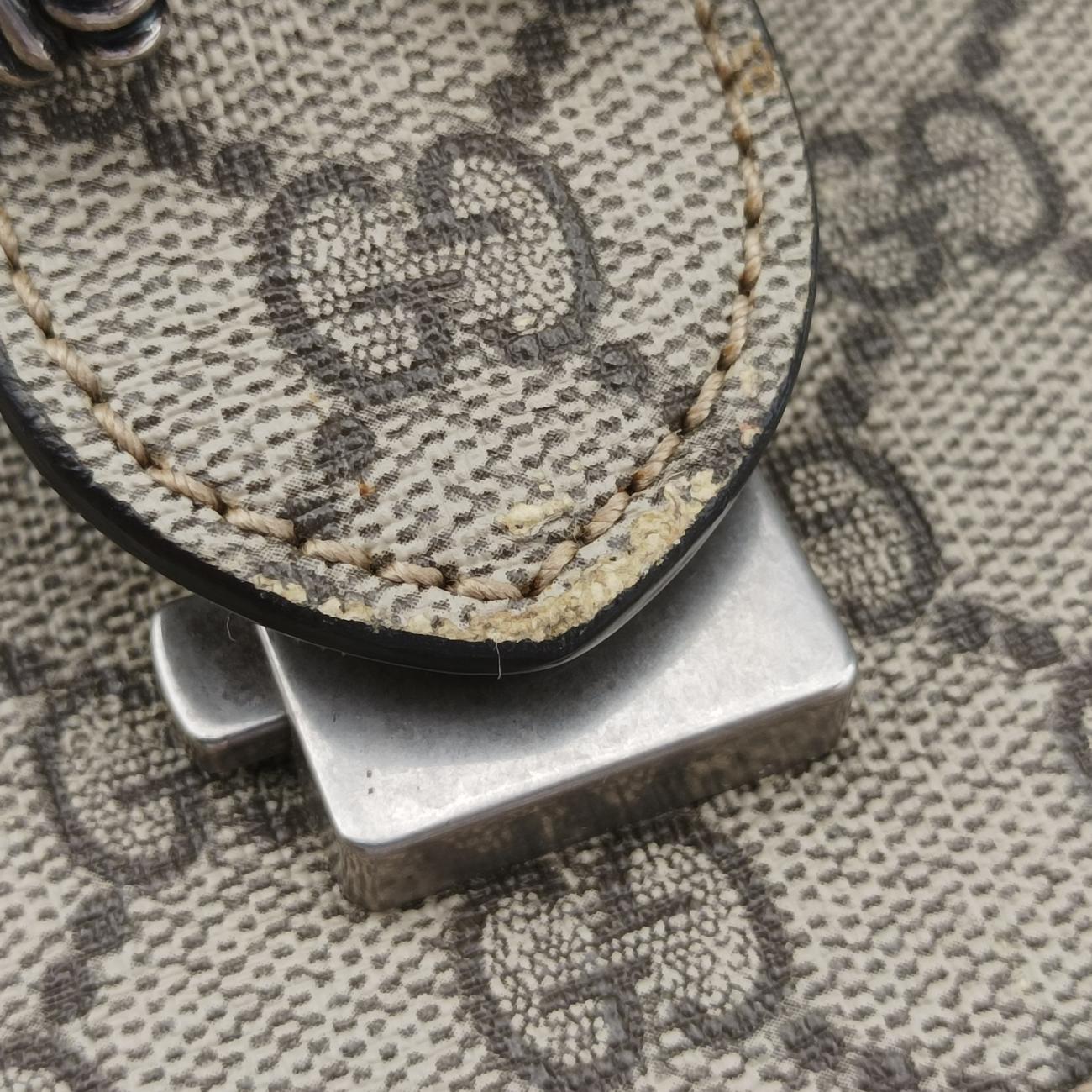 DionysusMulticolourPVC coated canvas400235E019914965ディオニュソスマルチカラーPVCコーティングキャンバス400235E019914965