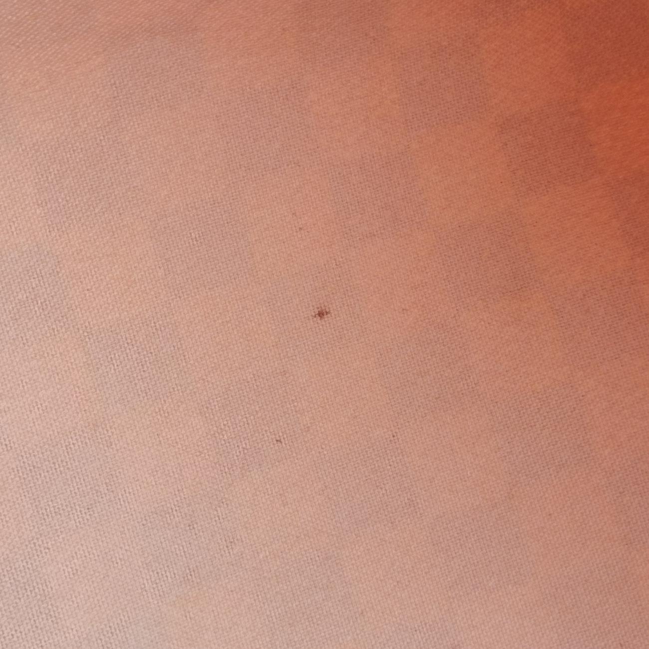 Speedy 30AzurDamier CanvasN41533DU0131スピーディ30アズールダミエキャンバスN41533DU0131