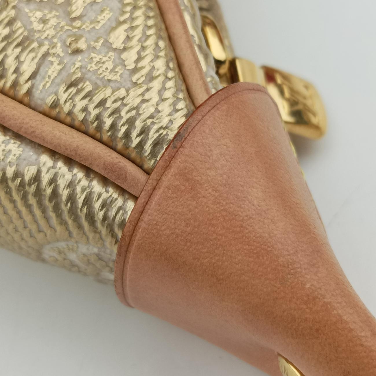 LOOPgoldenMonogram laminated jacquardM22928ICチップループゴールドモノグラムラミネーテッド ジャカードM22928ICチップ