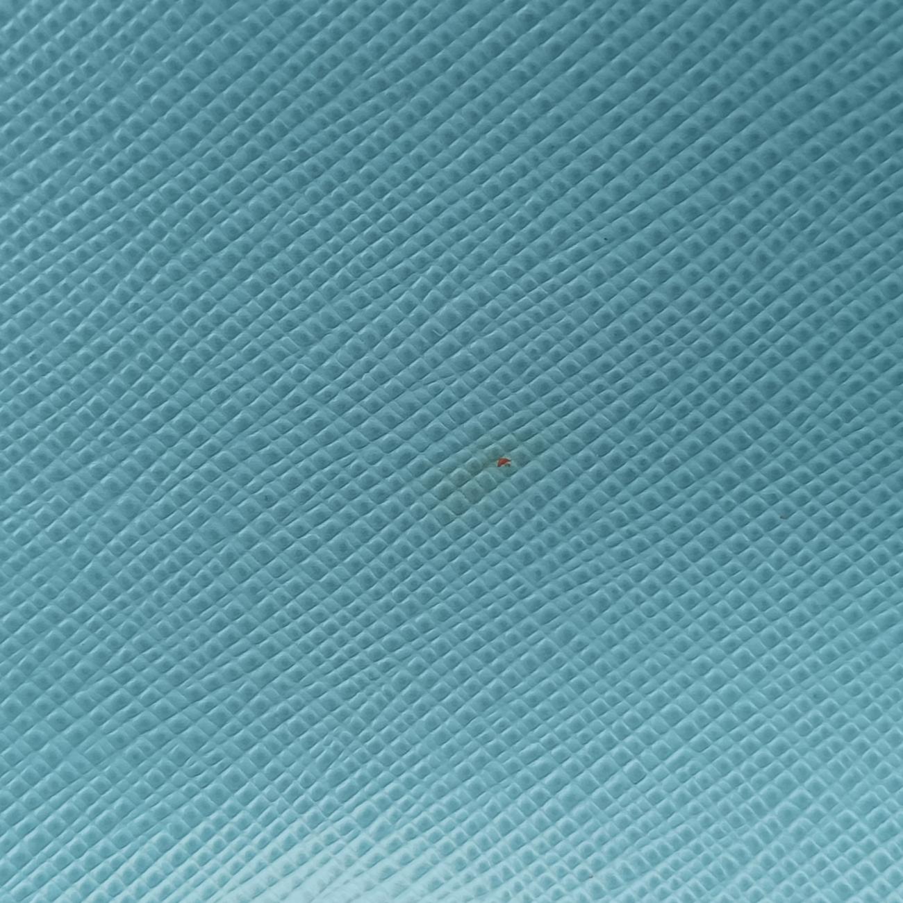 PromenadeBlueSAFFIANO LeatherBL0837105プロムナードブルーサフィアーノレザーBL0837105