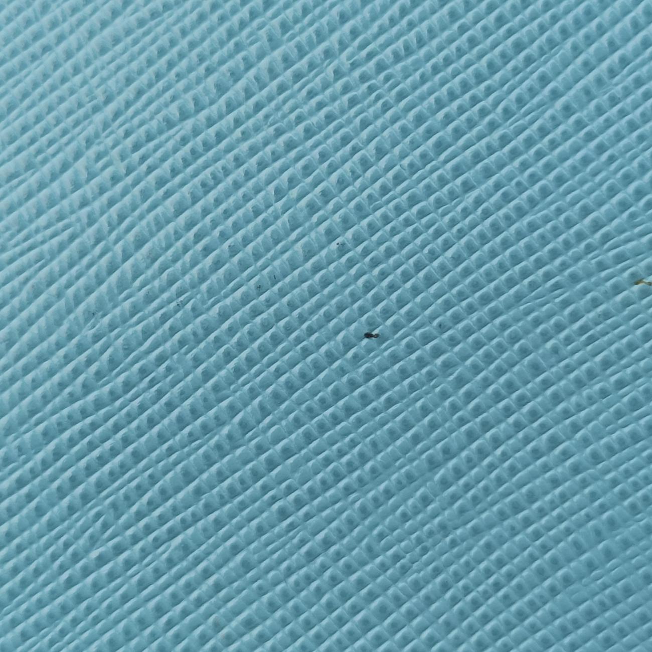 PromenadeBlueSAFFIANO LeatherBL0837105プロムナードブルーサフィアーノレザーBL0837105