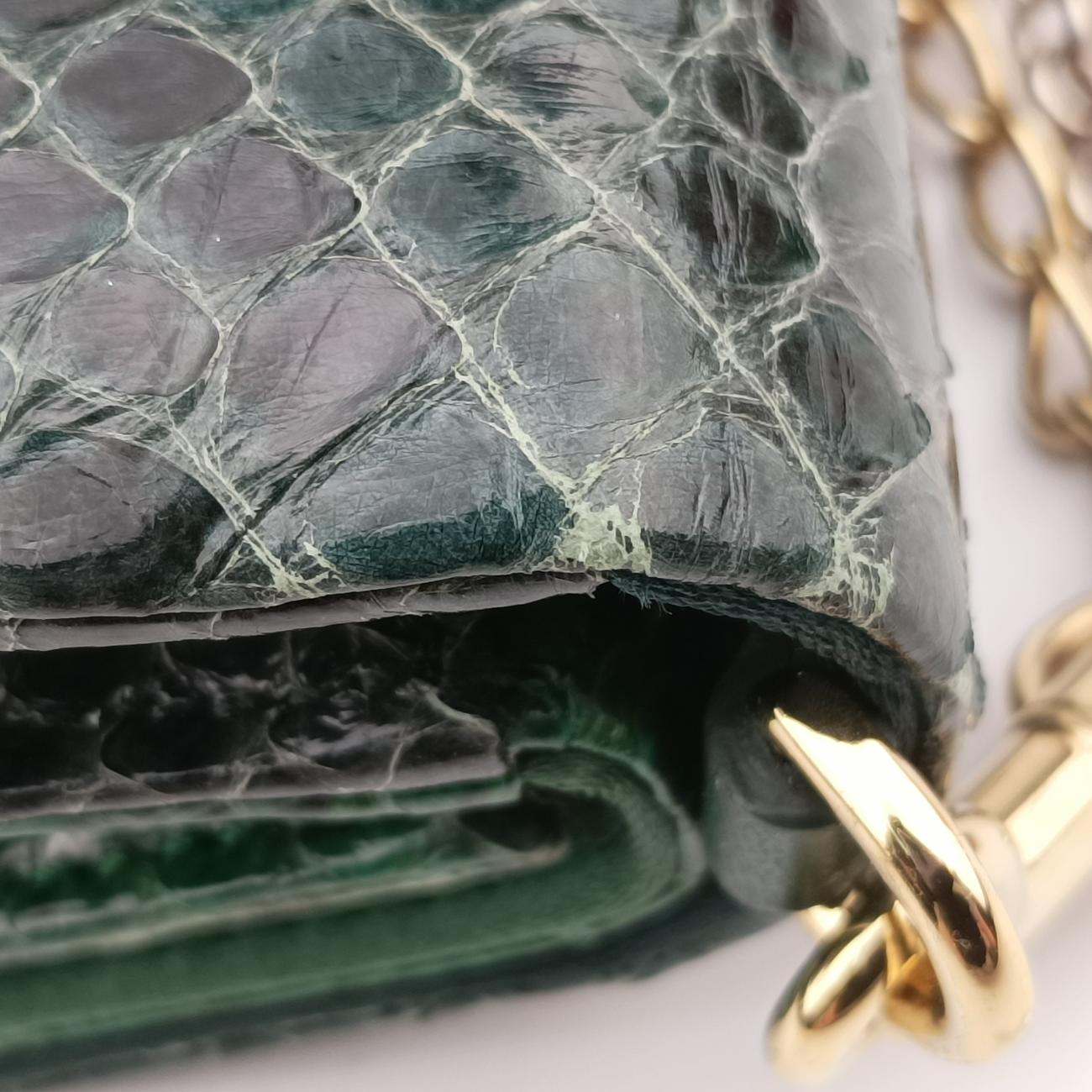 bee embellishmentGreensnakeskinビー エンベリッシュメントグリーンヘビ革