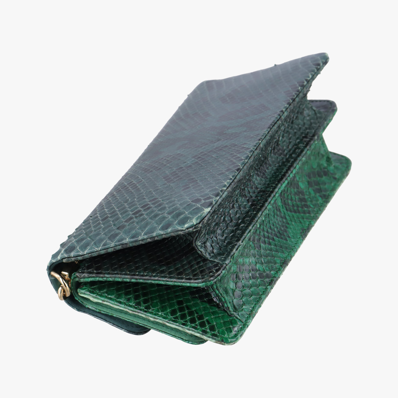 bee embellishmentGreensnakeskinビー エンベリッシュメントグリーンヘビ革