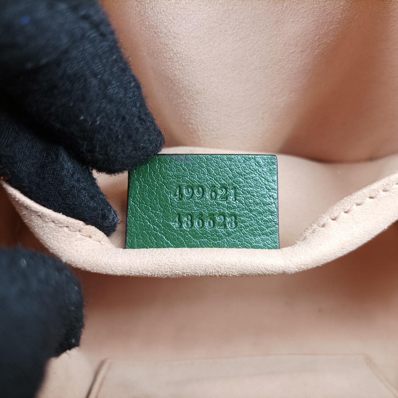 OphidiaRed×navy×GreenSuede499621B025785324オフィディアレッド×ネイビー ×グリーンスエード499621B025785324