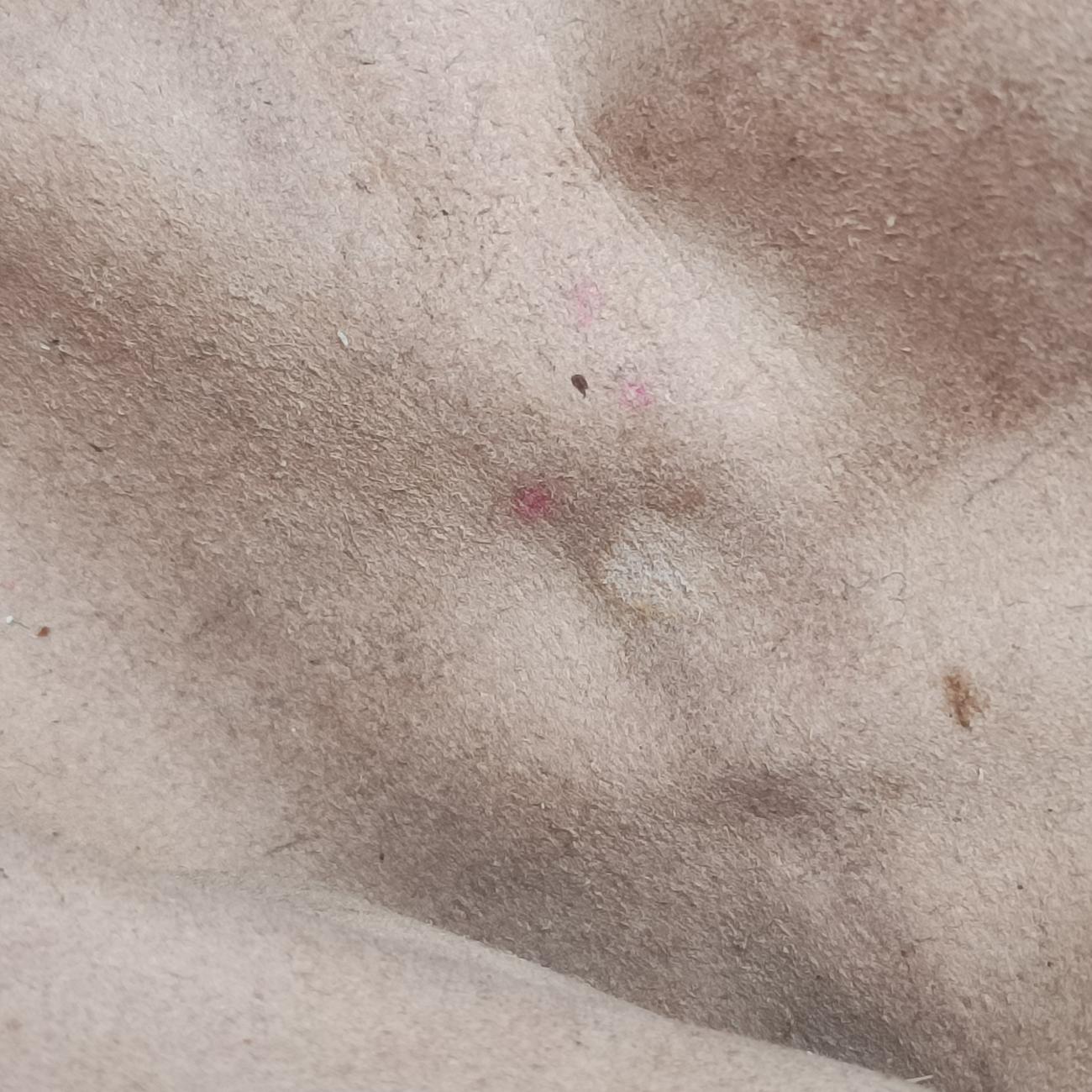 GG MarmontRedLeather443497H027650138GGマーモントレッドレザー443497H027650138