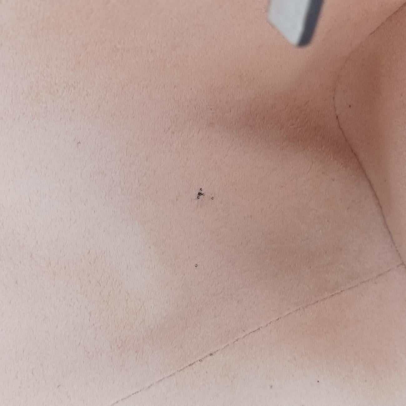 Ophidia GG SmallWhite×Black×RedLeather524532G028155339オフィディア GG スモールホワイト×ブラック×レッドレザー524532G028155339