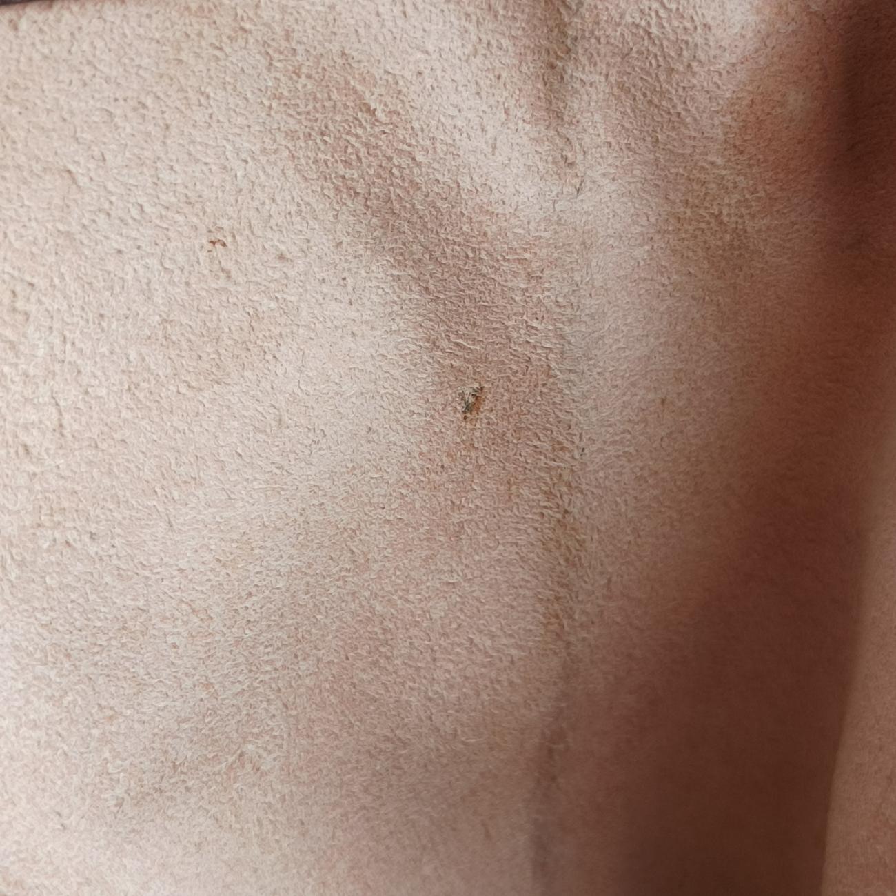 OphidiaBeige x Brown x Red x GreenPVC coated canvas x leather524537H028197617オフィディアベージュxブラウンxレッドxグリーンPVCコーティングキャンバス×レザー524537H028197617