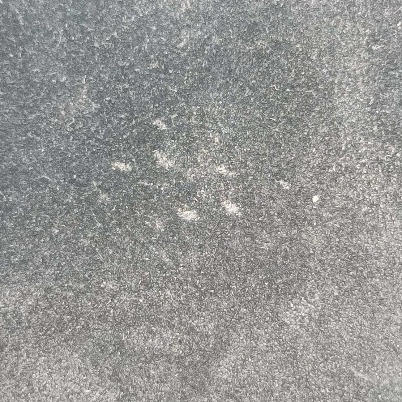 DionysusBlackSuede401231ディオニュソスブラックスエード401231