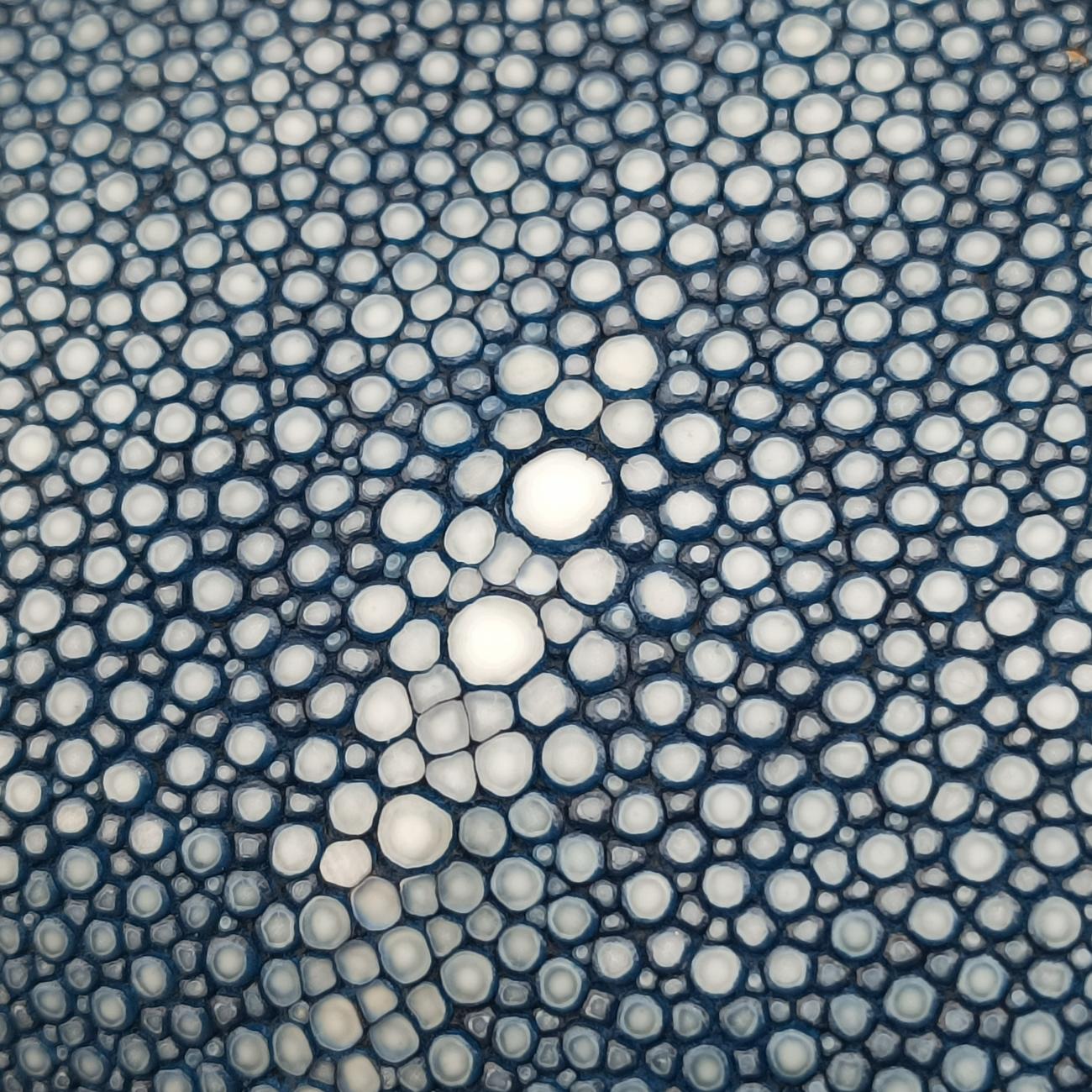 BOY CHANELBluePearlfish skin×leatherA6713816706579ボーイシャネルブルーパールフィッシュスキン×レザーA6713816706579