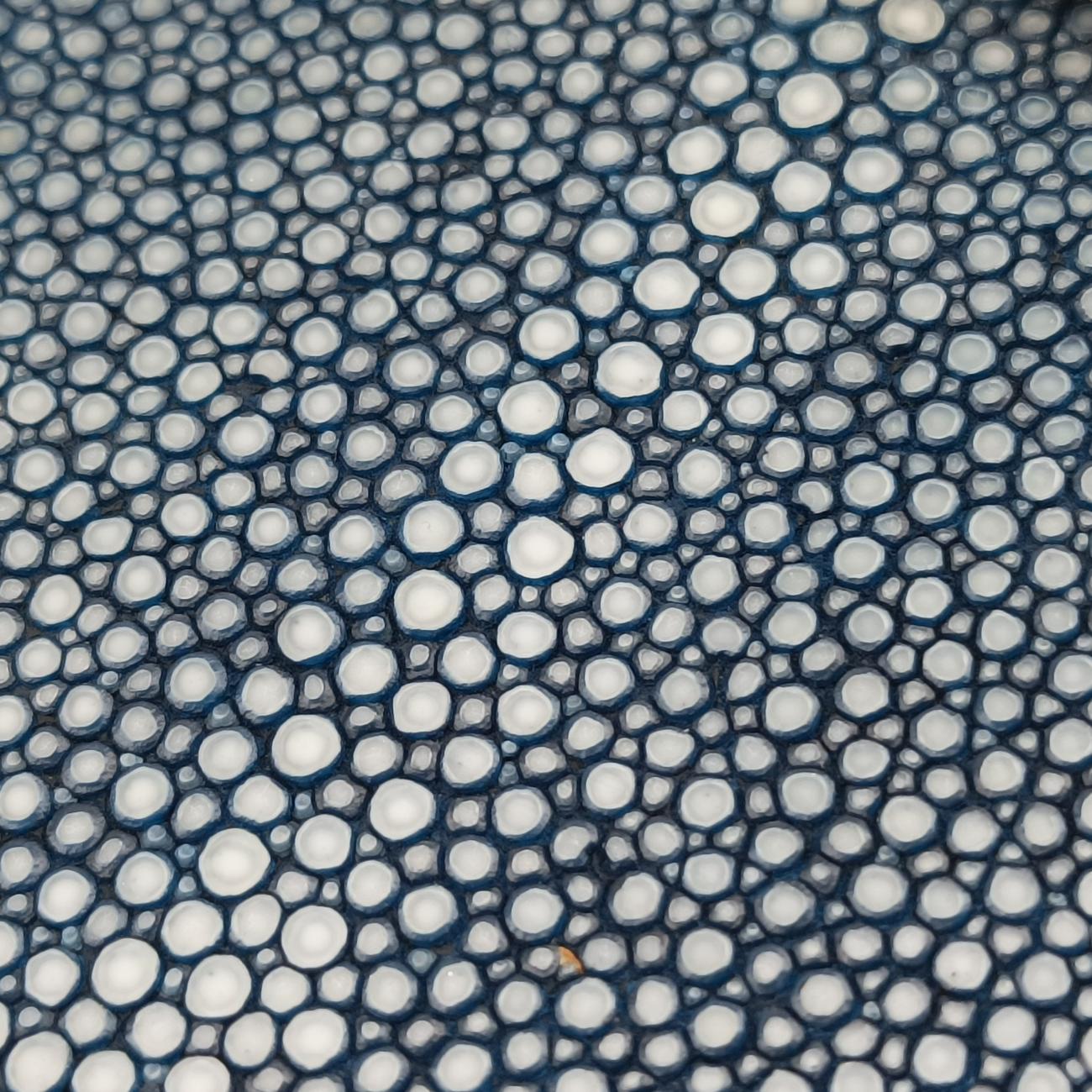 BOY CHANELBluePearlfish skin×leatherA6713816706579ボーイシャネルブルーパールフィッシュスキン×レザーA6713816706579