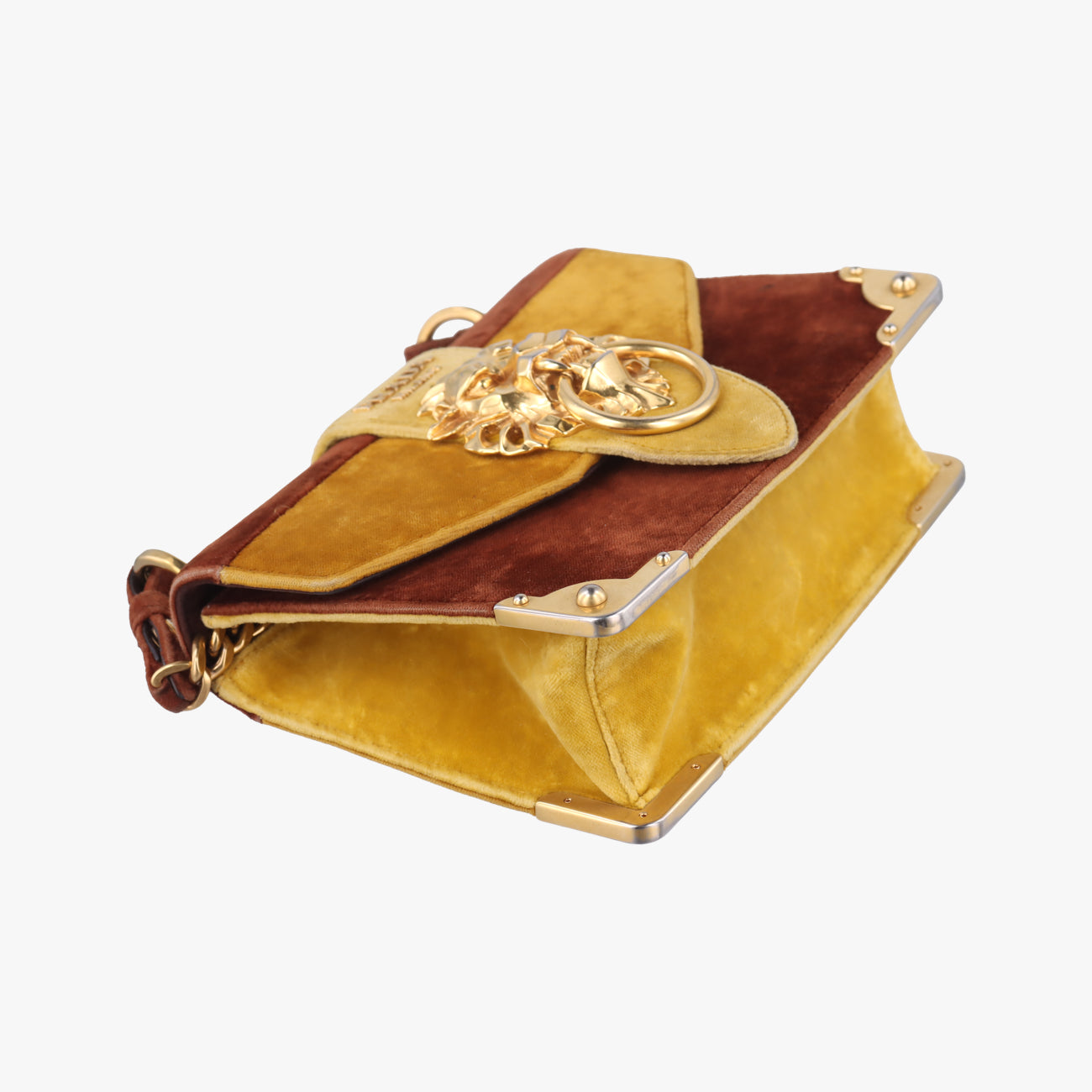 Animalier Cahier Lions HeadYellow×BrownVelvet1BD089110カイエ ライオンヘッドイエロー×ブラウン系ベロア1BD089110