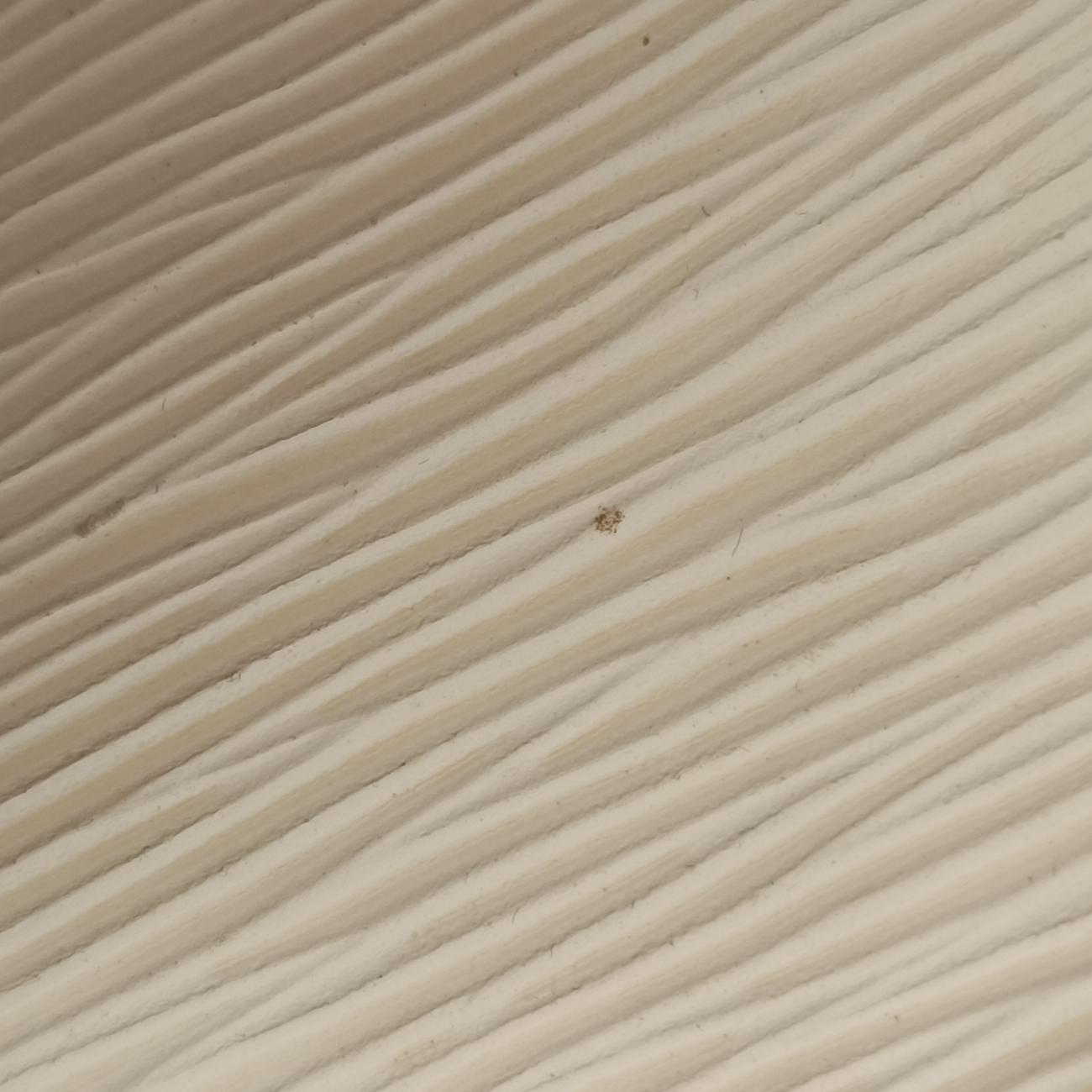 SPRING STREET PMROSE BALLERINEVernis×Monogram CanvasM90468NZ3189スプリング ストリート PMローズバレリーヌヴェルニ×モノグラムキャンバスM90468NZ3189