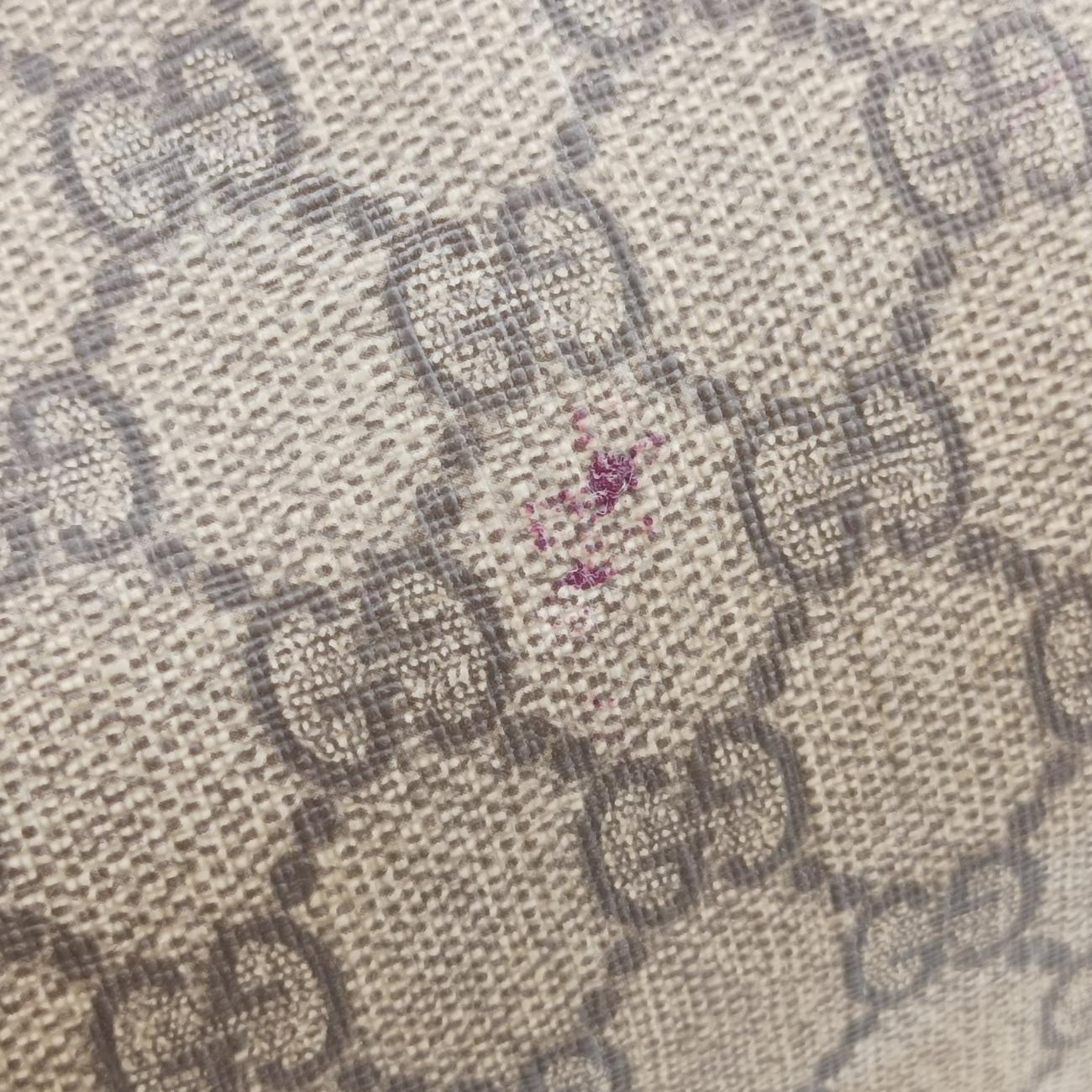 GG plus Spring Joy GG Supreme beige×silver PVC coated canvas 193603 B2181569GGプラス ジョイ GGスプリーム ベージュ×シルバー PVCコーティングキャンバス 193603 B2181569