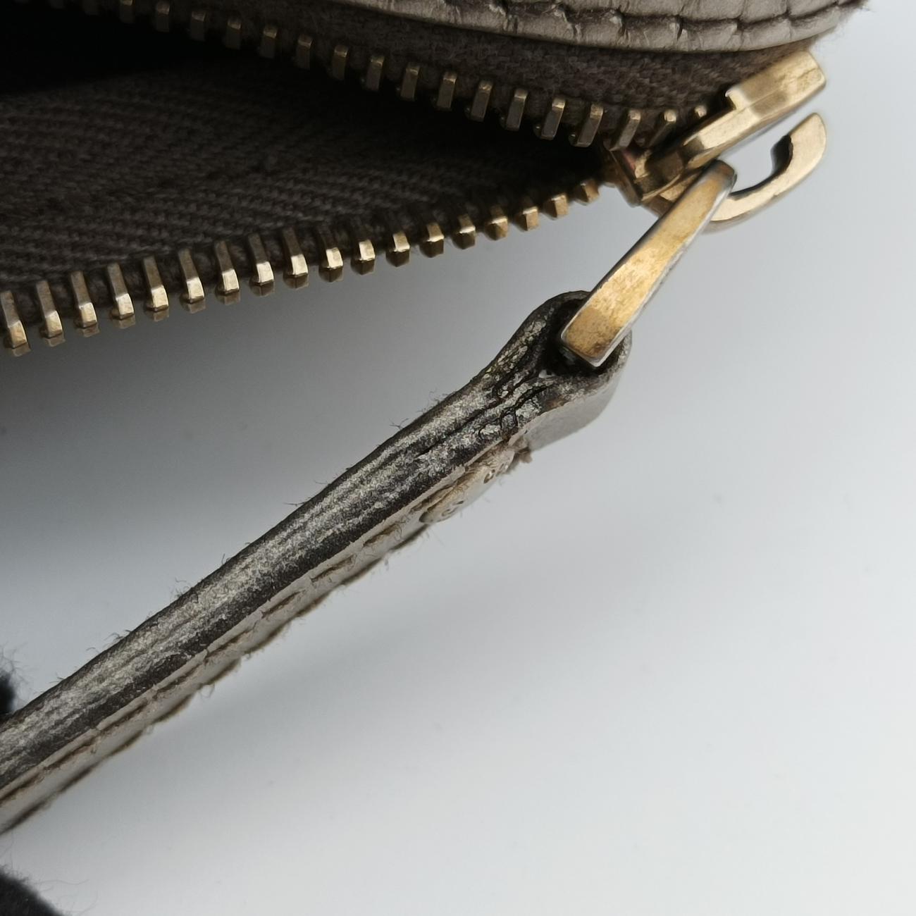 GG plus Spring Joy GG Supreme beige×silver PVC coated canvas 193603 B2181569GGプラス ジョイ GGスプリーム ベージュ×シルバー PVCコーティングキャンバス 193603 B2181569