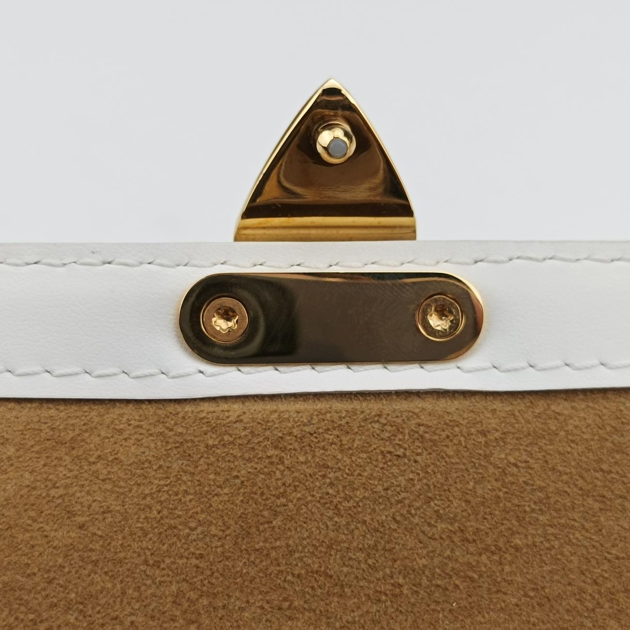 Papillon TrunkBrown×whiteMonogram Canvas×calf leatherM81485ICチップパピヨン トランクモノグラム/ブラウン系×ホワイトモノグラムキャンバス×カーフレザーM81485ICチップ