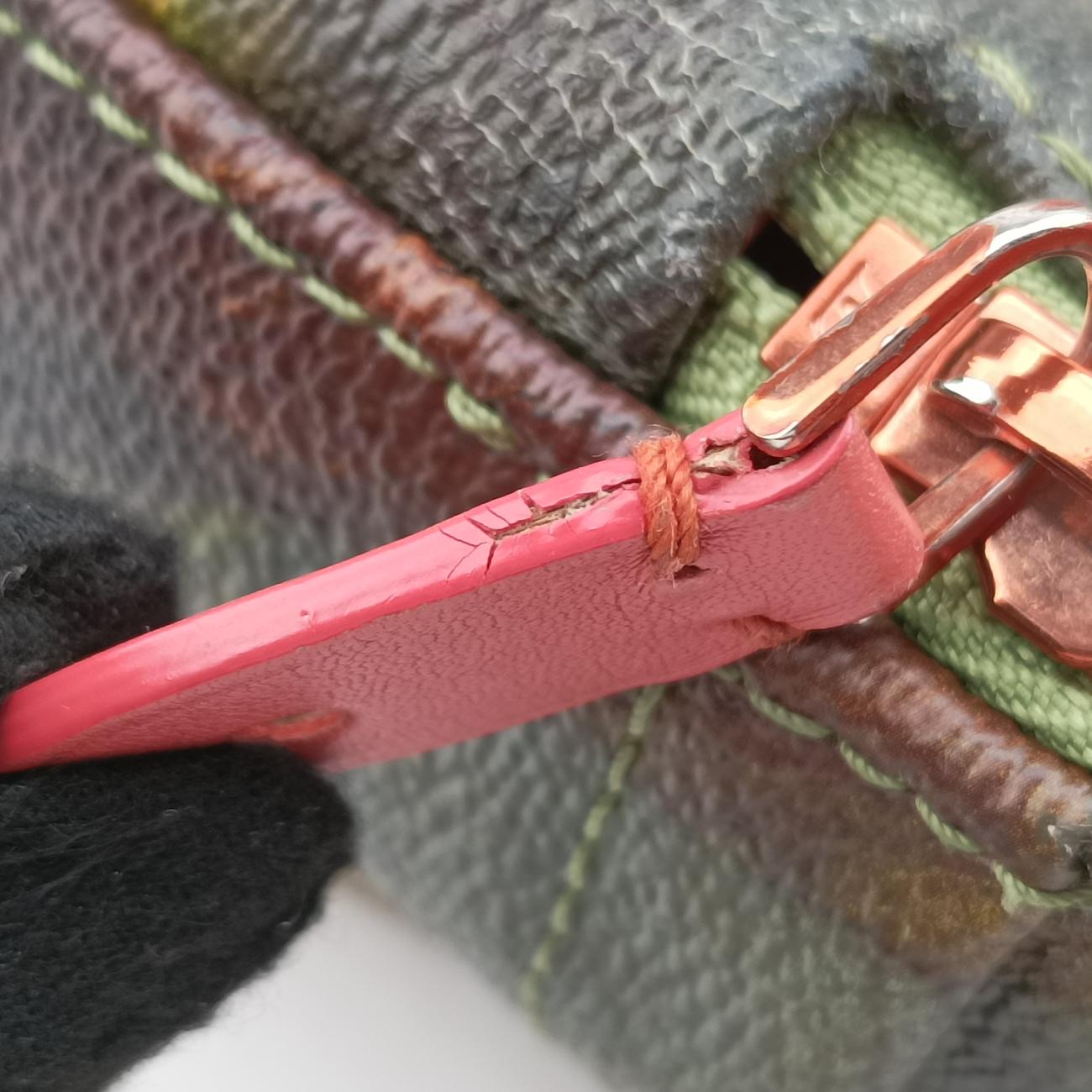 Masters Collection DaVinci PalmSpringsMulticolorPVC coated canvasM43375FL1167マスターズコレクション ダヴィンチ パームスプリングスマルチカラーPVCコーティングキャンバスM43375FL1167