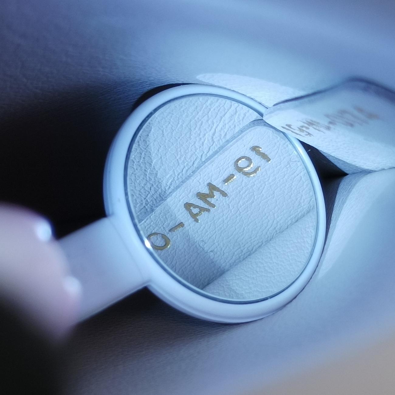 Be Dior Rose Leather 19-MA-0174ビー ディオール ローズ レッド レザー 19-MA-0174