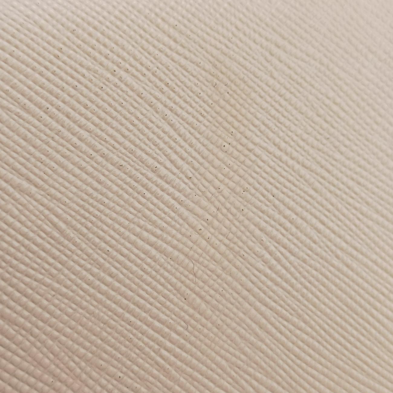 Vitello DianoBeigeSaffiano Leather1DH04485ヴィテッロディアノベージュサフィアーノレザー1DH04485