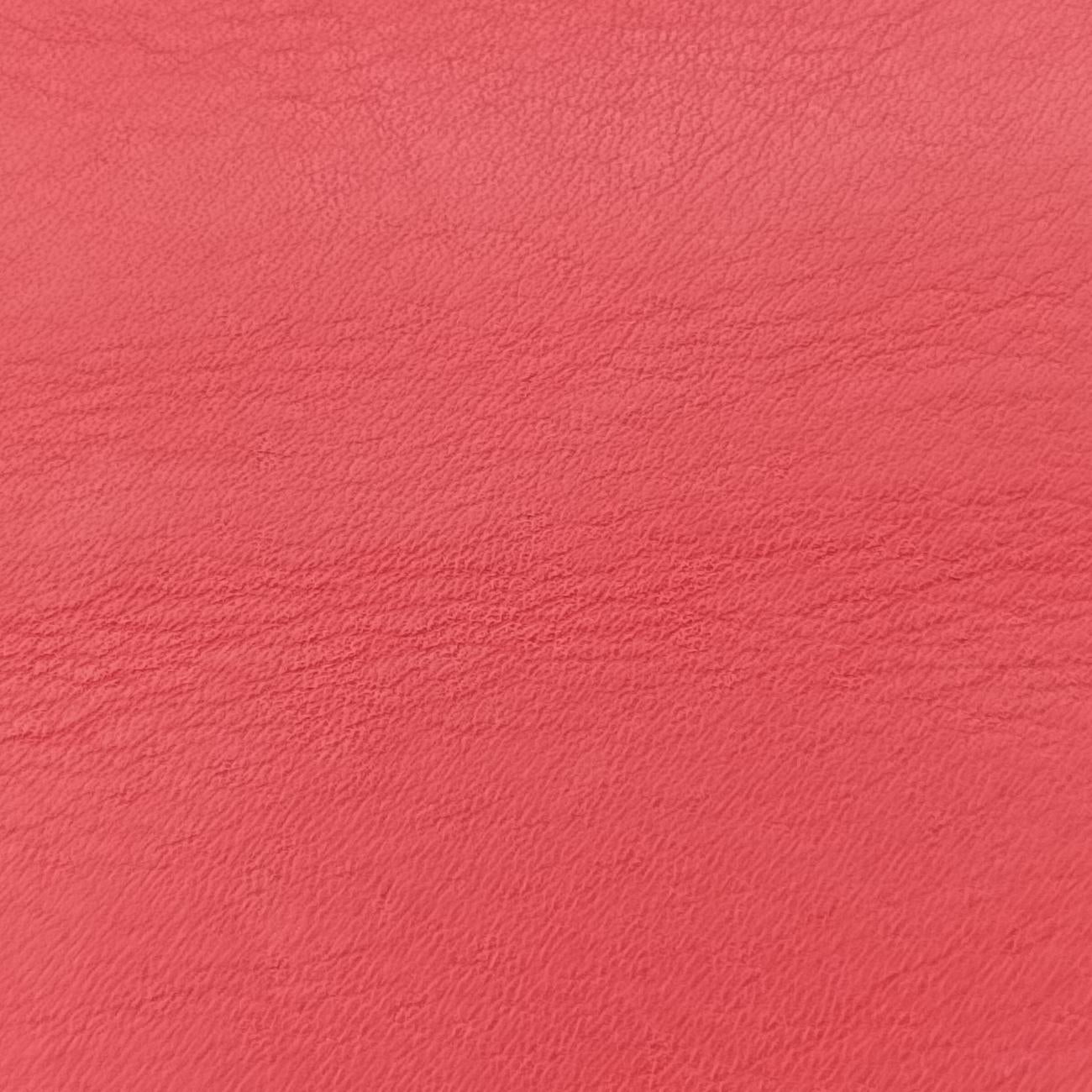 DionysusRed×MulticolourPVC coated canvas x leather400249I019657063ディオニュソスレッド×マルチカラーPVCコーティングキャンバス×レザー400249I019657063