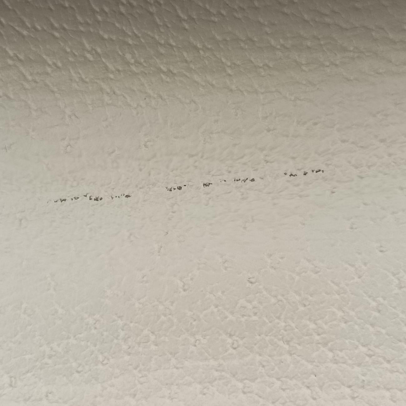 SylvieIvory x Navy x RedLeather524405G031153823シルヴィアイボリー×ネイビー×レッドレザー524405G031153823