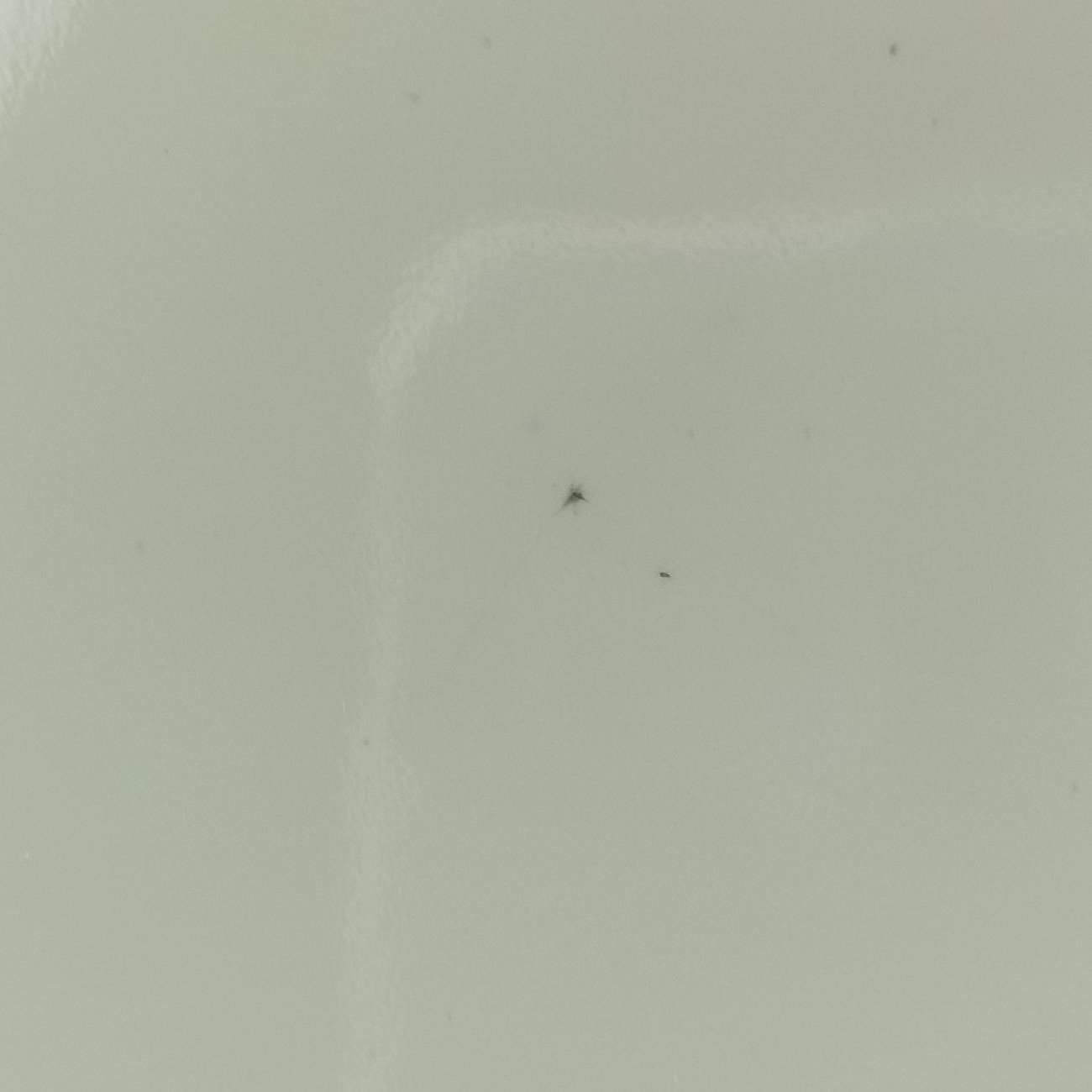 Alma PM Amando Electric epi FL0163アルマPM アマンドエレクトリック エピ M40625 FL0163