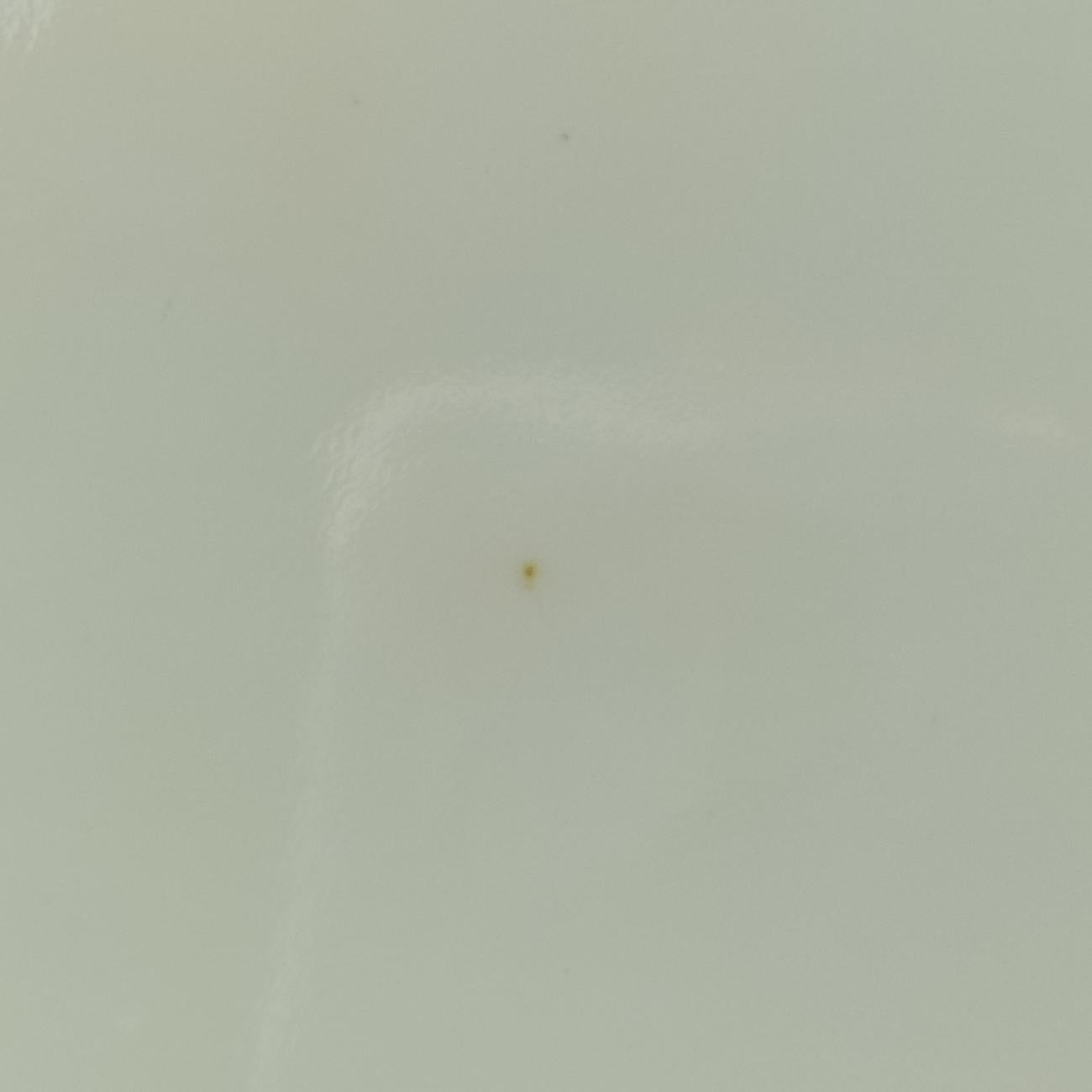 Alma PM Amando Electric epi FL0163アルマPM アマンドエレクトリック エピ M40625 FL0163