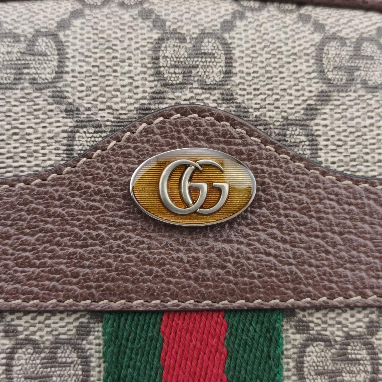 Ophidia Brown×Multicolour PVC coated canvas x leather 519308 オフィディア ブラウン×マルチカラー PVCコーティングキャンバス×レザー 519308