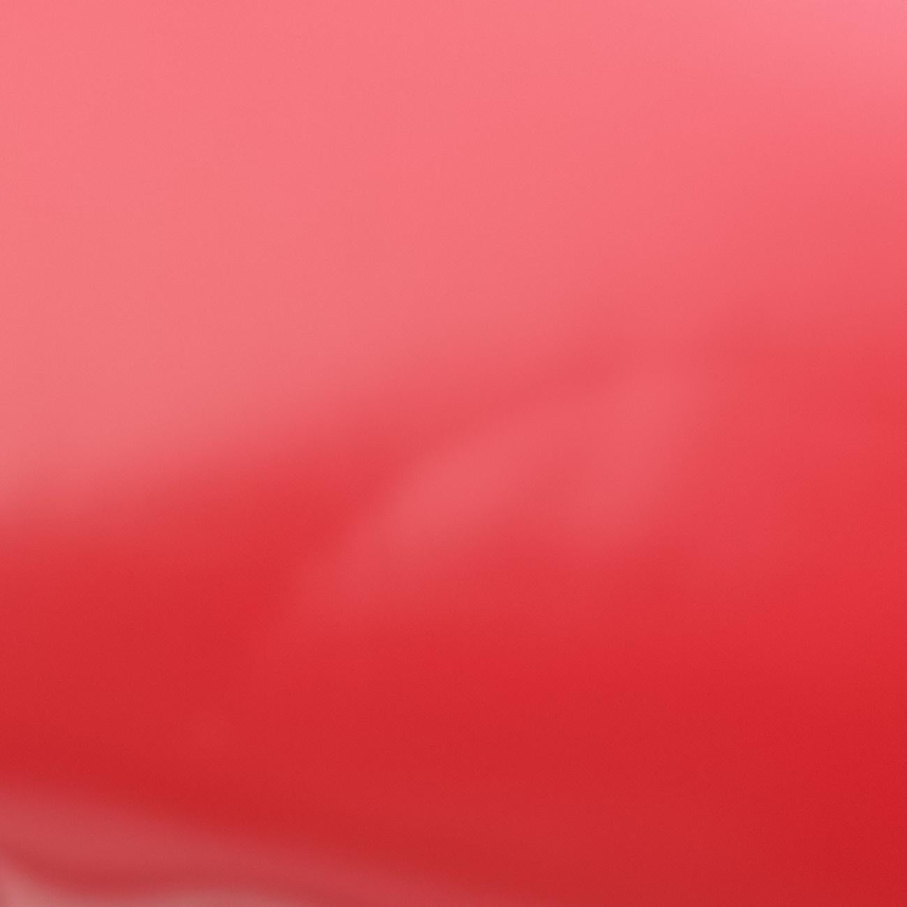 BOY CHANEL Red Leather 21509383ボーイシャネル レッド レザー A67086 21509383