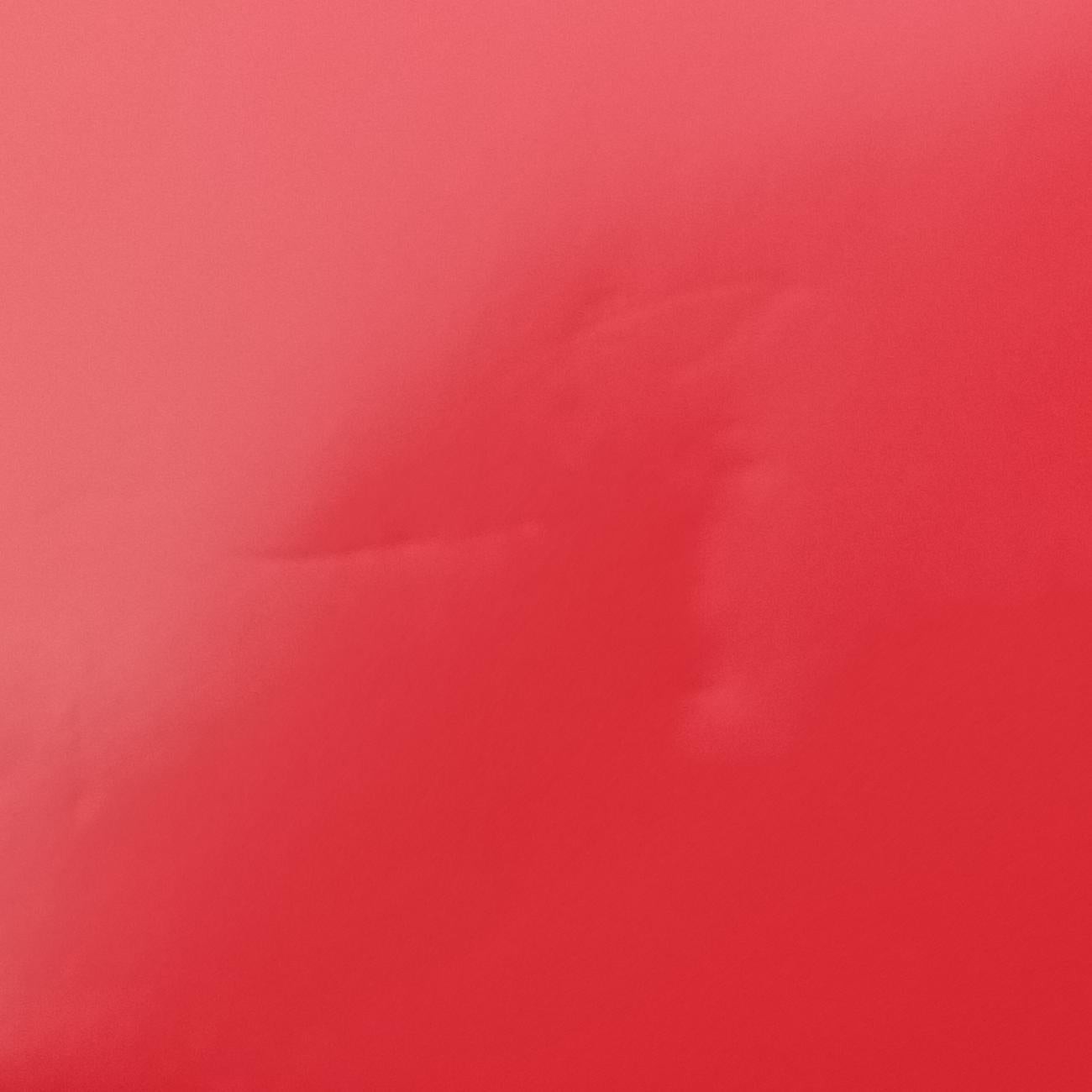 BOY CHANEL Red Leather 21509383ボーイシャネル レッド レザー A67086 21509383