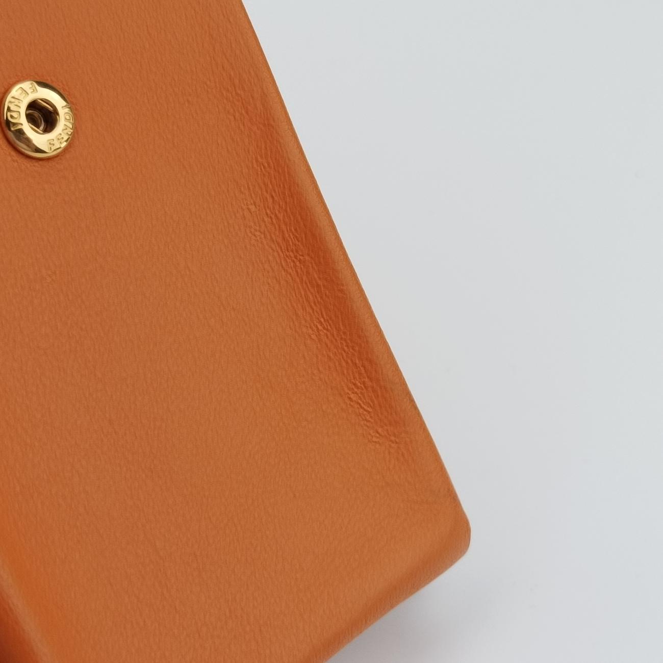 Mini Century Phone Case Orange Leather 8BS026-A5DY-193-0189バスティーン ミニ センチュリー フォンケース オレンジ レザー 8BS026 8BS026-A5DY-193-0189
