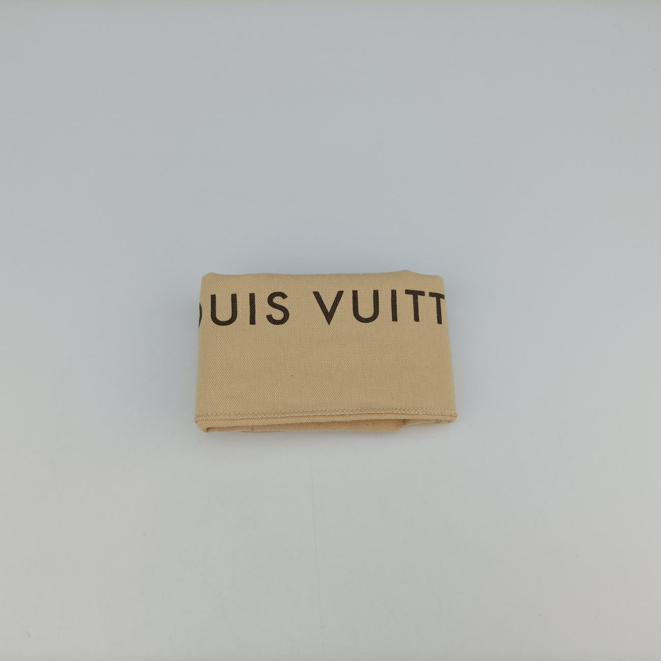 SANTA MONICAEBENEDamier CanvasN40189CA2119サンタモニカエベーヌダミエキャンバスN40189CA2119