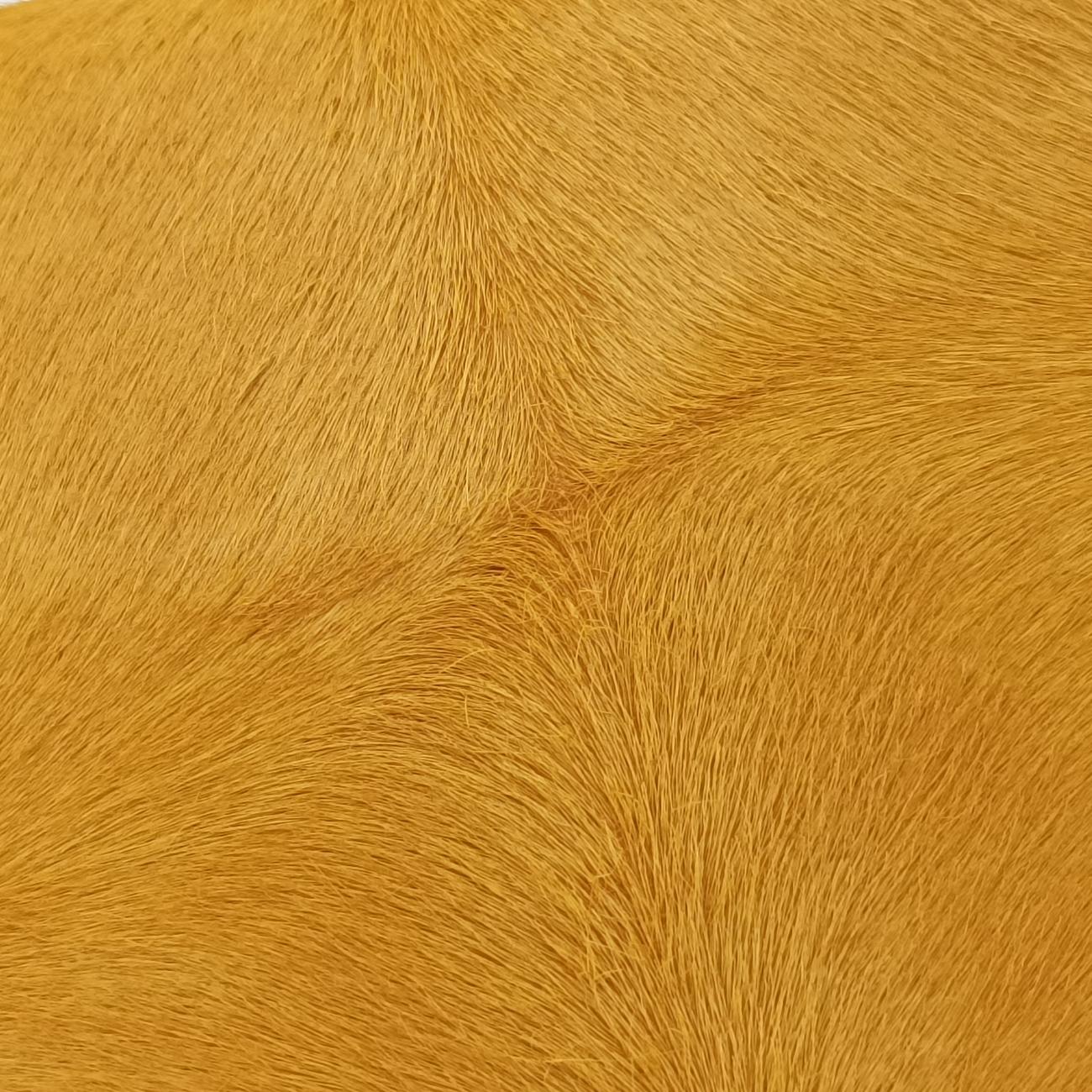 Luggage Mini ShopperBlack x Yellow x BlueLeather × HorsehairF-GA-0163ラゲージミニショッパーブラック×イエロー×ブルーレザー × ホースヘアF-GA-0163