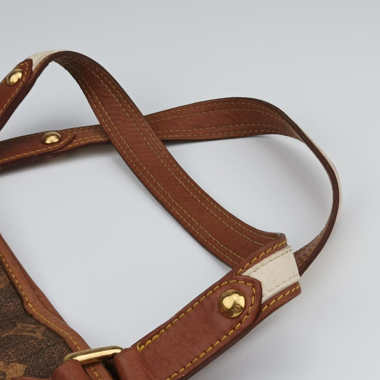 Monogram Tisse Sac Rayeur PMマロンMonogram Tisse CanvasM56386SP5007モノグラム ティッセ サック ラヨール PMマロンモノグラムティセキャンバスM56386SP5007