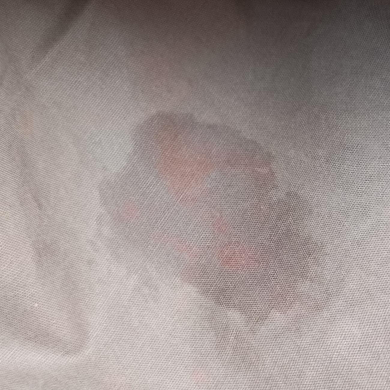 Intrecciato Burgundy lambskin 161623 V465C 6160 EPEV 2010 350 Cイントレチャート ワインレッド ラムスキン 161623 V465C 6160 EPEV 2010 350 C