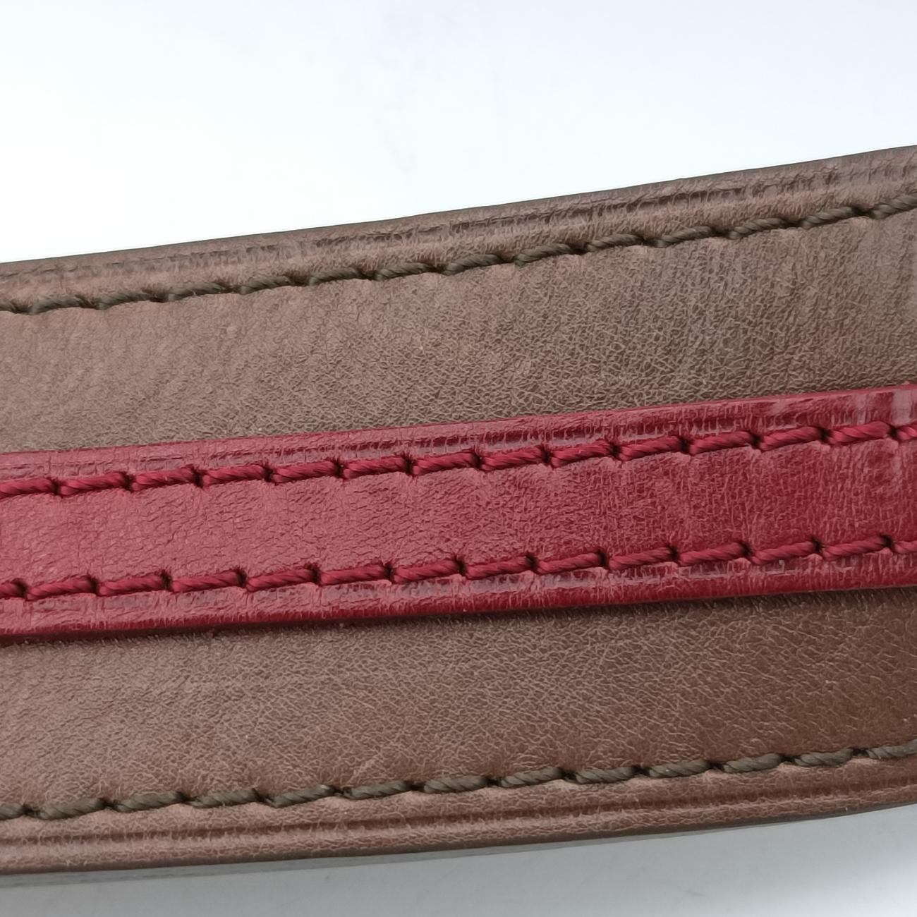 2010 Collection Aviator Gray×Red×Brown Canvas ×Leather M40385 TJ11602010 コレクション アヴィエーター グレー×レッド×ブラウン キャンバス×レザー M40385 TJ1160