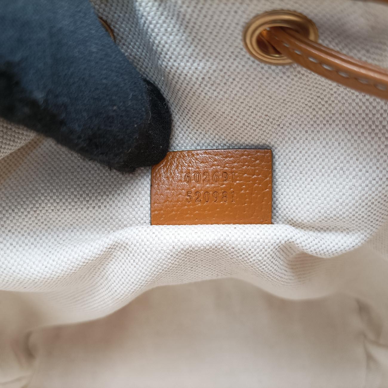 Micro GG/Small Bucket Bag Multicolour PVC coated canvas 602691 I031391325マイクロGG/スモールバケットバッグ マルチカラー PVCコーティングキャンバス 602691 I031391325