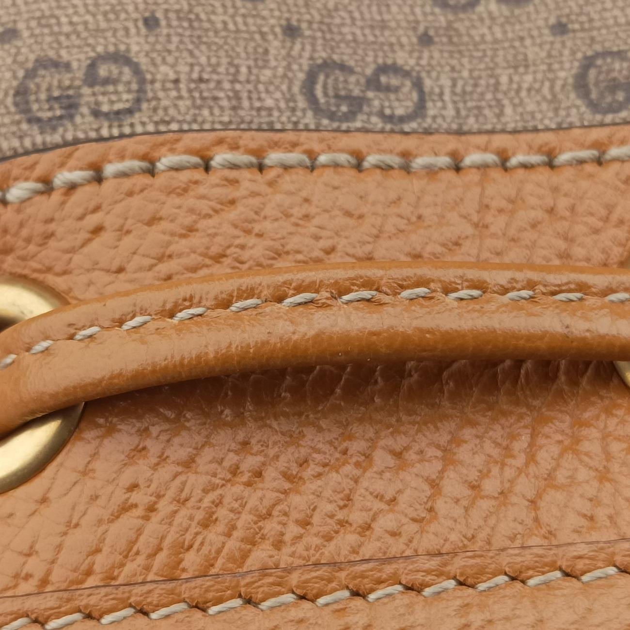 Micro GG/Small Bucket Bag Multicolour PVC coated canvas 602691 I031391325マイクロGG/スモールバケットバッグ マルチカラー PVCコーティングキャンバス 602691 I031391325