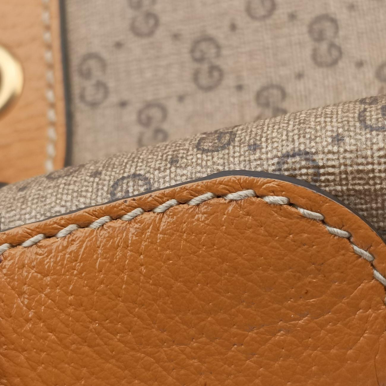 Micro GG/Small Bucket Bag Multicolour PVC coated canvas 602691 I031391325マイクロGG/スモールバケットバッグ マルチカラー PVCコーティングキャンバス 602691 I031391325