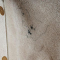 BELT mini Beige Leather W-CU-3157ベルトバッグミニ ベージュ レザー W-CU-3157