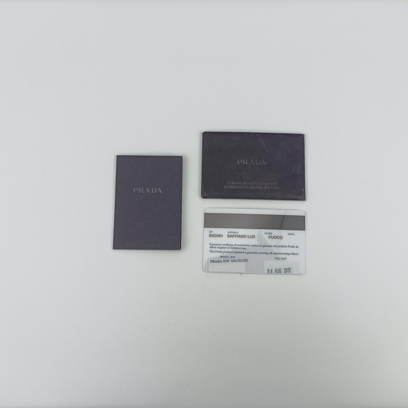 Vernice Parabole Red SAFFIANO Leather 25ヴェルニス パラボレ レッド サフィアーノレザー 25