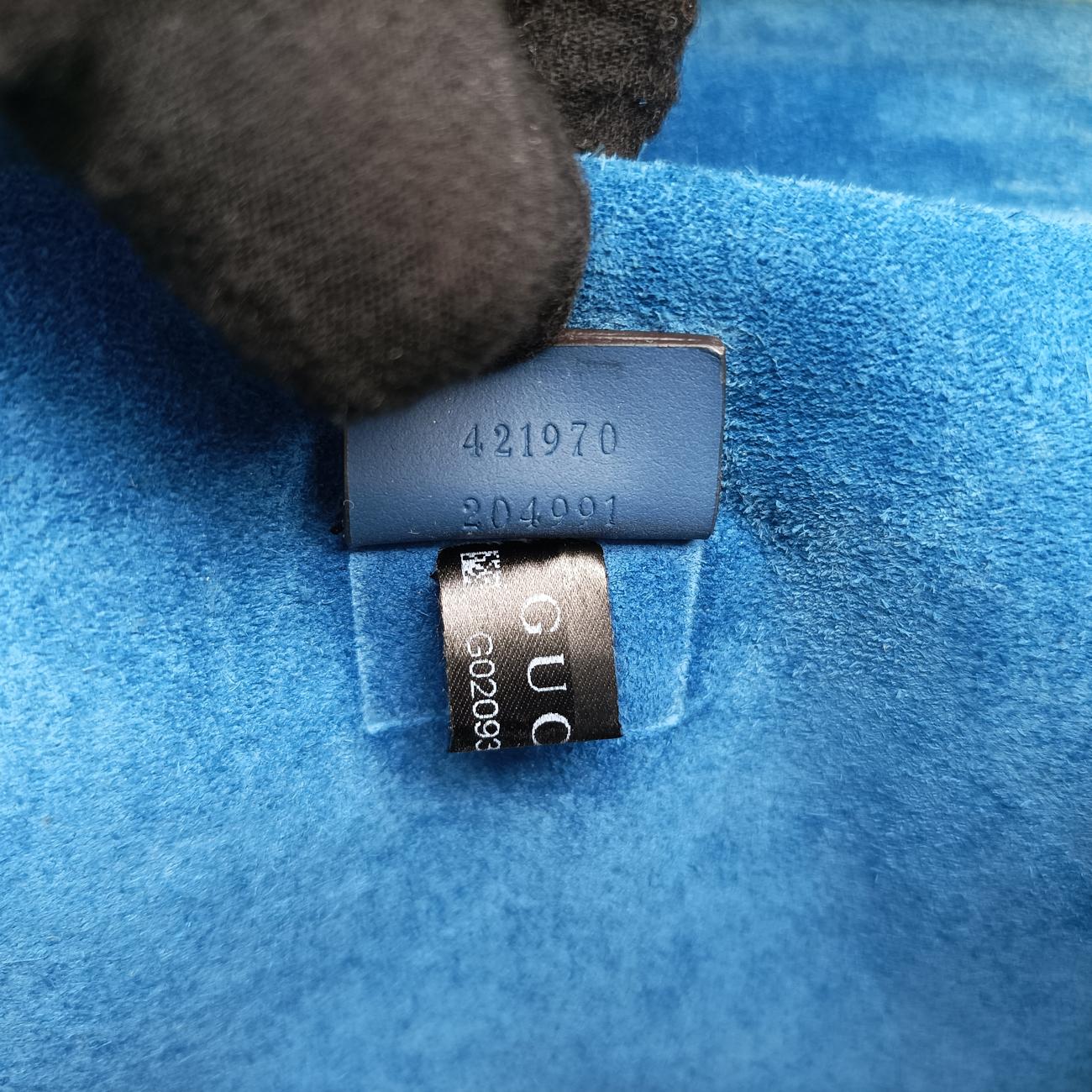 Dionysus Beige×blue×Multicolour PVC coated canvas 421970 G020938151ディオニュソス ベージュ×ブルー×マルチカラー PVCコーティングキャンバス 421970 G020938151